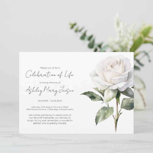 Simple White Rose Celebration of Life Funeral Invitation (Standing Front)