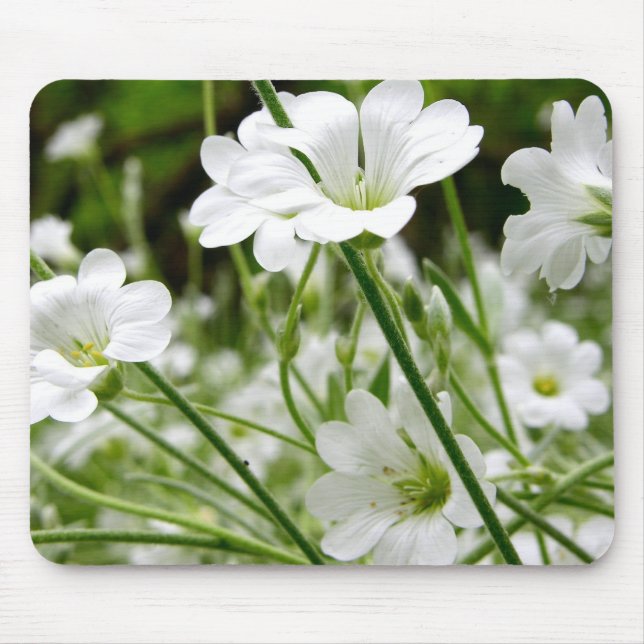 Simple White Wild Flowers Mouse Pad (Front)