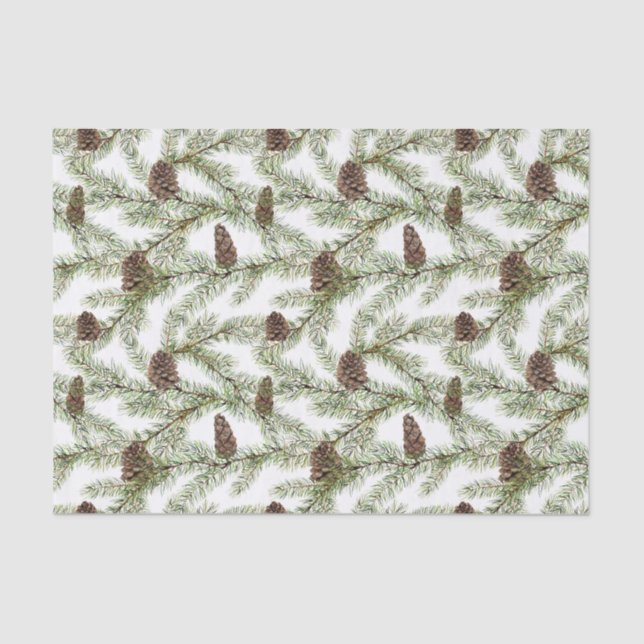 Simple Winter Fir Cone Watercolor Christmas Tissue Paper (Front)