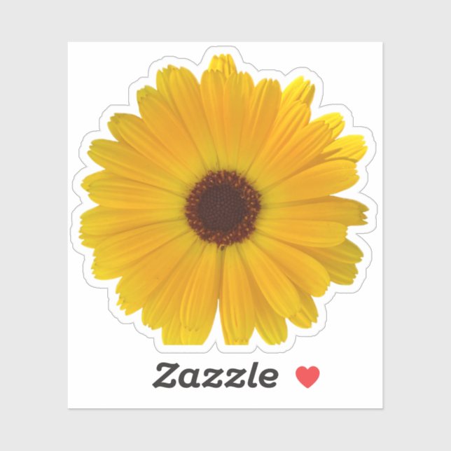 Simple Yellow Daisy (Sheet)