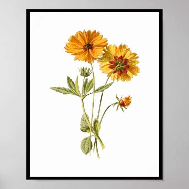 Simple Yellow Flowers Floral Poster (Front)