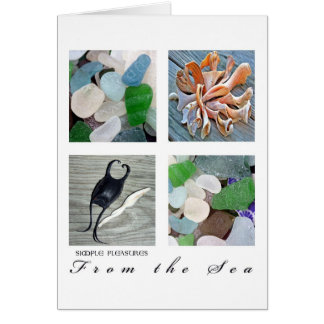 SimplePleasuresFrom the Sea