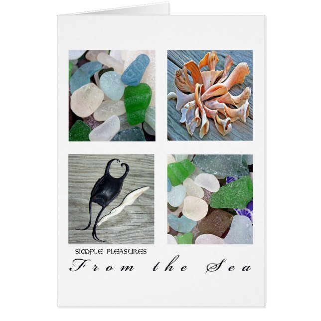 SimplePleasuresFrom the Sea (Front)