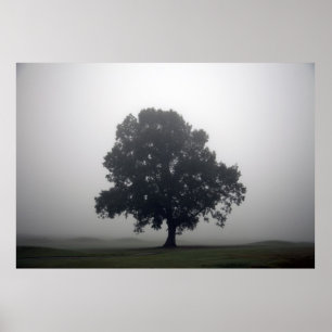 Simplicity Poster