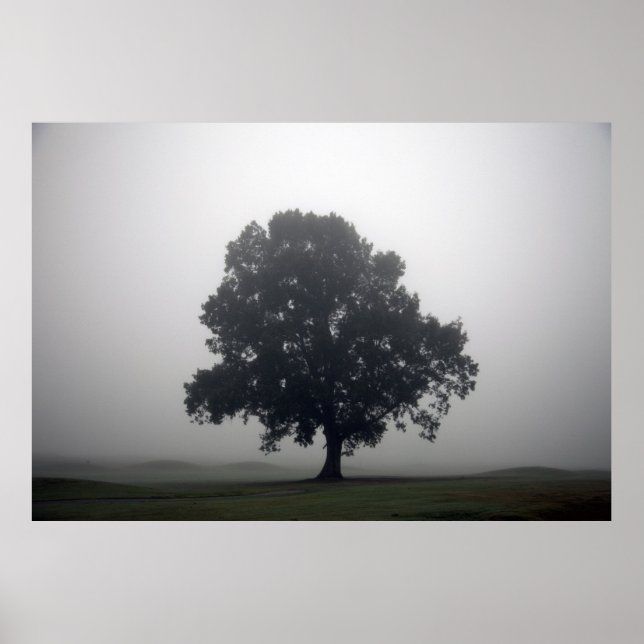 Simplicity Poster (Front)