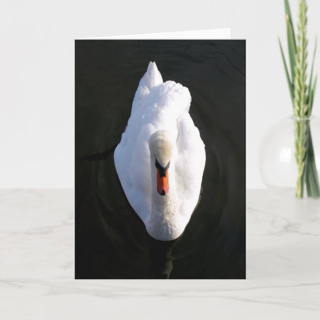 Simplicity Swan Greeting Card (Front)