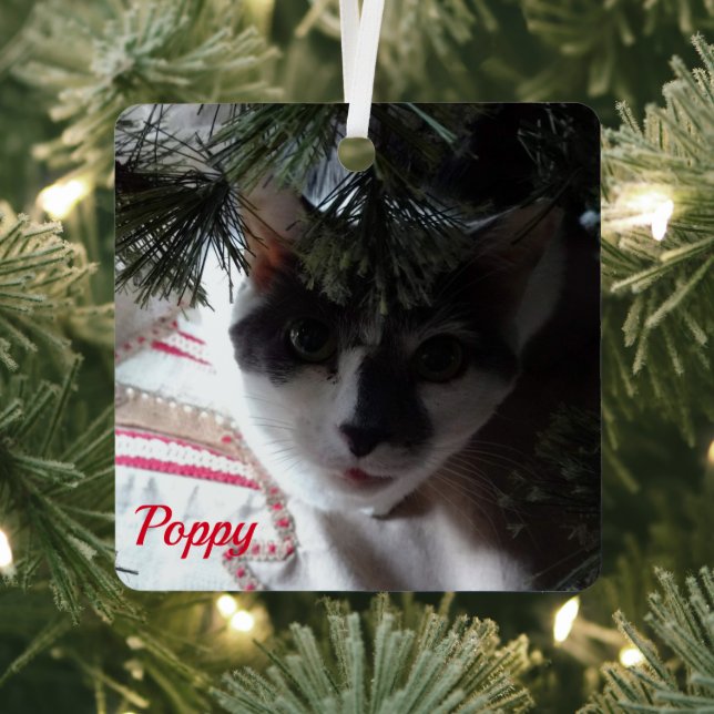 Simplistic Red Pet Photo With Name Metal Tree Decoration (Insitu)