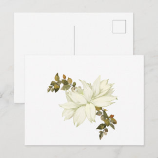 Simplistic White Flower and Foliage Postcard