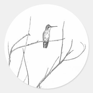 Simply a Hummingbird on a stick Classic Round Sticker