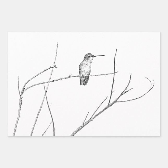 Simply a Hummingbird on a stick Wrapping Paper Sheet (Front)