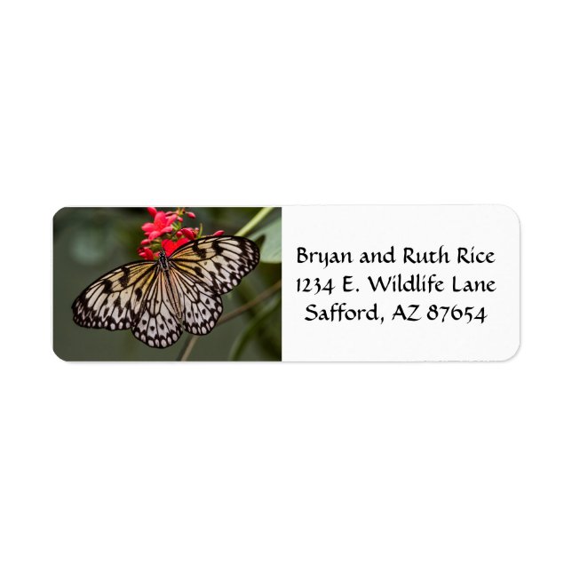 Simply a Paper Kite Butterfly Return Address Label (Front)