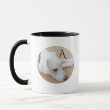 Simply Adorable Single Initial White Dog
