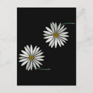 Simply Daisies Postcard
