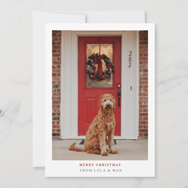 Simply Modern Merry Christmas | Dog Photo Card (Front)