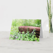 Simply Nature - Blank Greeting Card