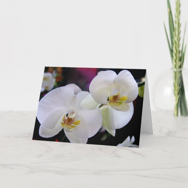 Simply orchids card (Front)