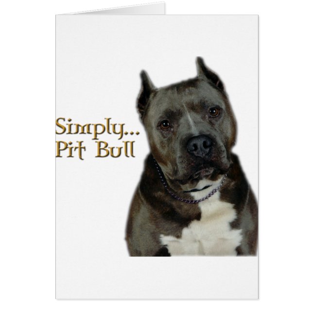 Simply PitBull (Front)
