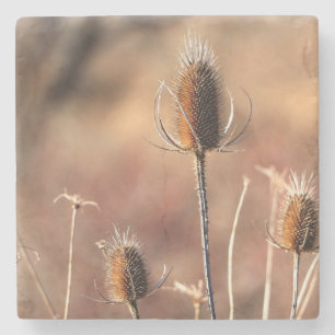 Simply Thistle Stone Coaster
