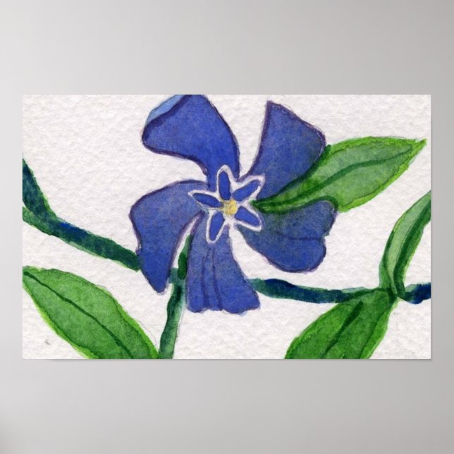Simply Vinca 2 Poster (Front)