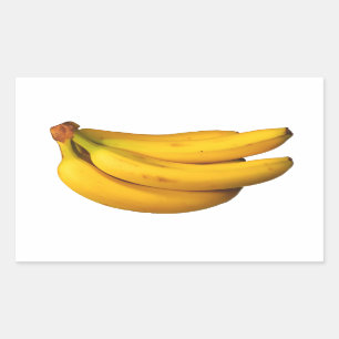 Simply Yellow Bananas Photo in a Bunch Rectangular Sticker
