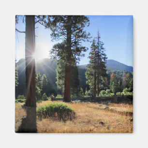 Simpson Meadow - Sierra Magnet
