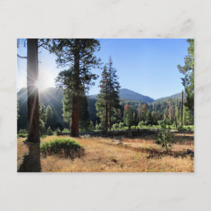 Simpson Meadow - Sierra Postcard