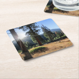Simpson Meadow - Sierra Square Paper Coaster