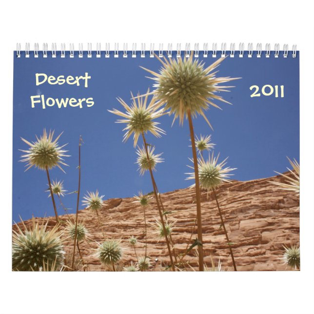 Sinai Desert Flowers Calendar (Cover)