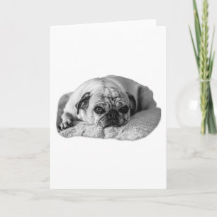 Sincere Cheer, Gentle Stare Card