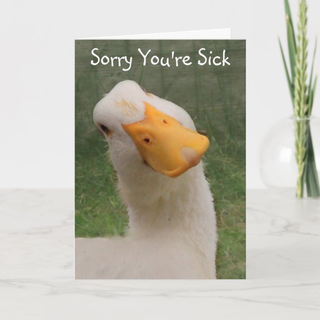 Sincere Goose Get Well  Card (Front)
