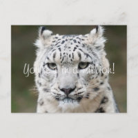 Sincere Snow Leopard Thank You