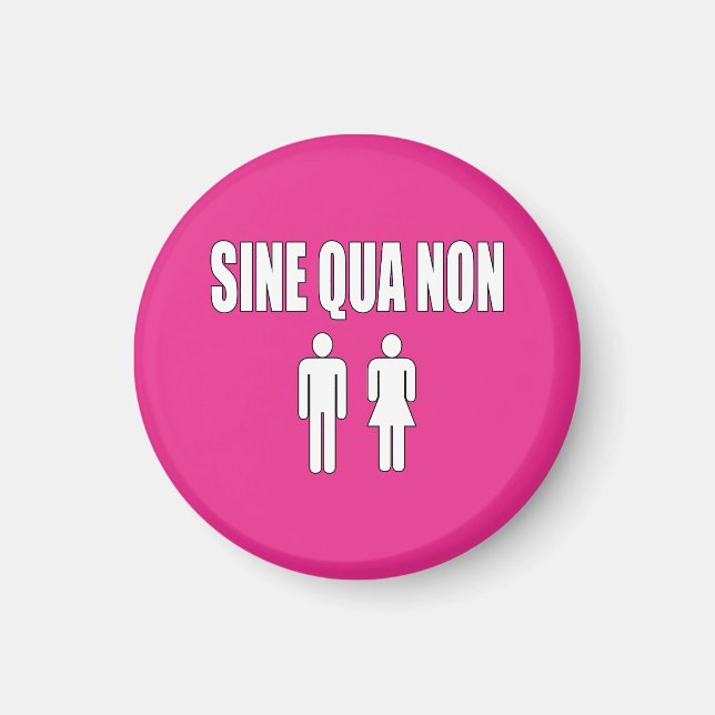 Sine Qua Non Romantic Latin Quote Valentine's Day Magnet (Front)