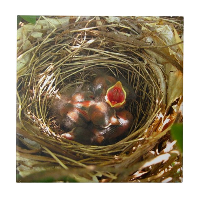 Sing Out Art Tile (Front)