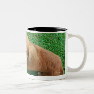 Singapore 2 Two-Tone coffee mug