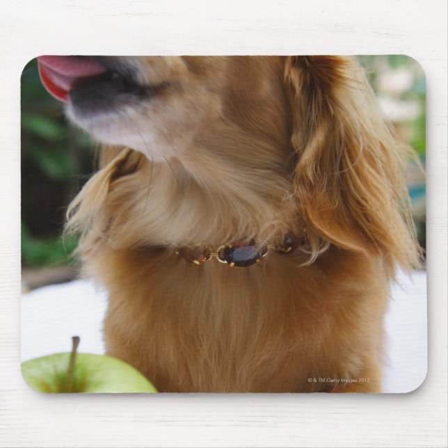 Singapore 5 mouse pad (Front)