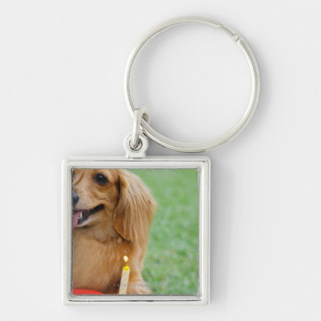 Singapore 8 key ring (Front)