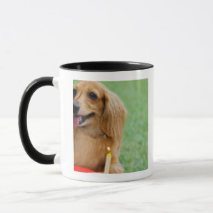 Singapore 8 mug