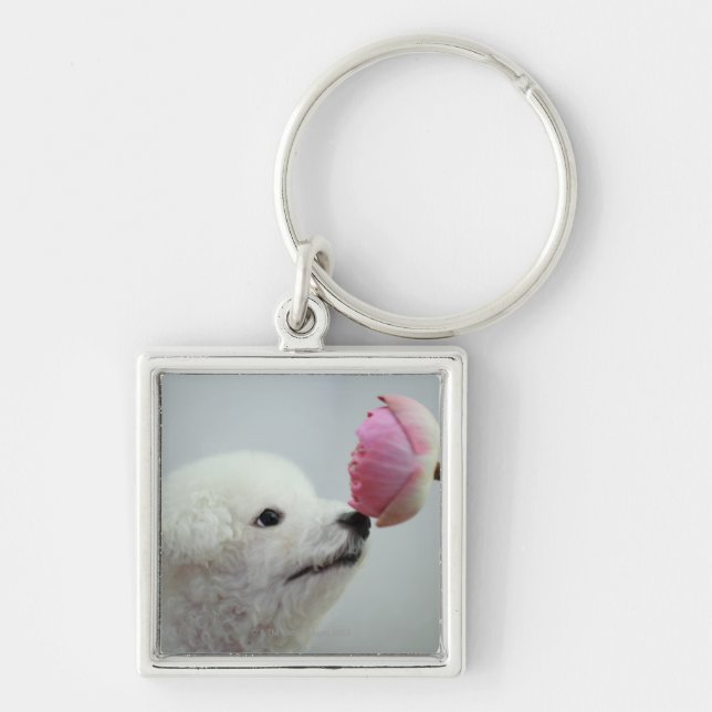 Singapore 9 key ring (Front)