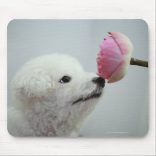 Singapore 9 mouse pad