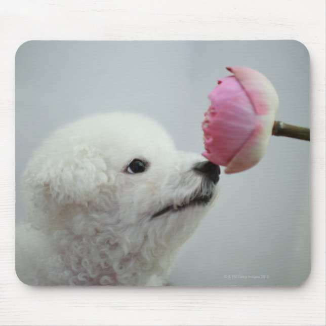 Singapore 9 mouse pad (Front)