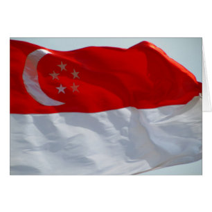 singapore flag