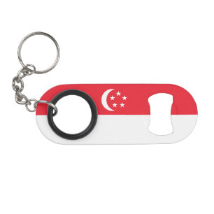 Singapore Flag