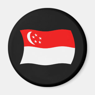 Singapore Flag Magnet