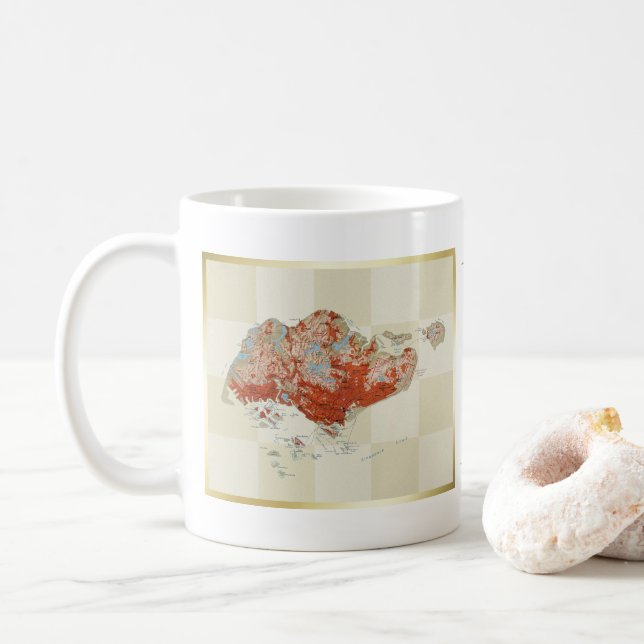 Singapore Flag + Map Mug (With Donut)
