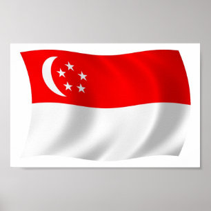 Singapore Flag Poster Print
