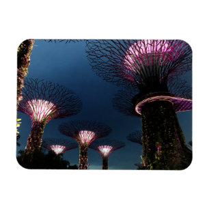 Singapore Gardens by the Bay #1 Magnet