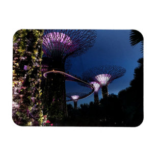 Singapore Gardens by the Bay #2 Magnet