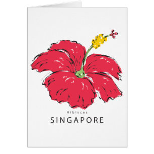 SINGAPORE HIBISCUS COLLECTION