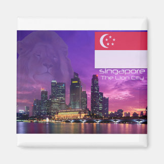 Singapore Magnet