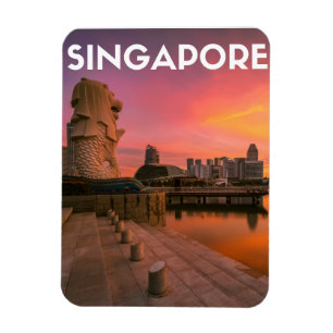 Singapore Magnet